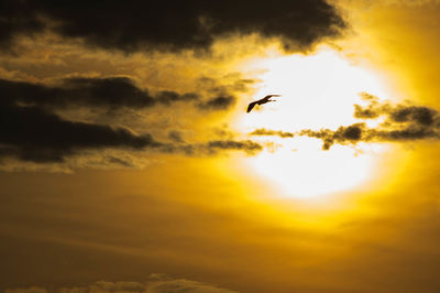 Silhouette birds flying in sky during sunset