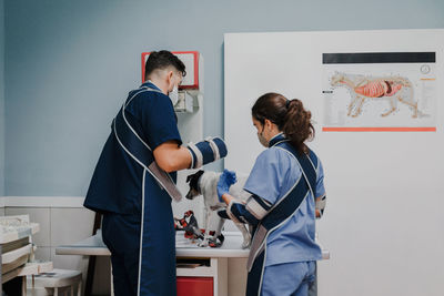 Back view of unrecognizable male veterinarian with female nurse in uniforms examining animal patient on table in clinic