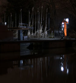 Reflection of trees in water