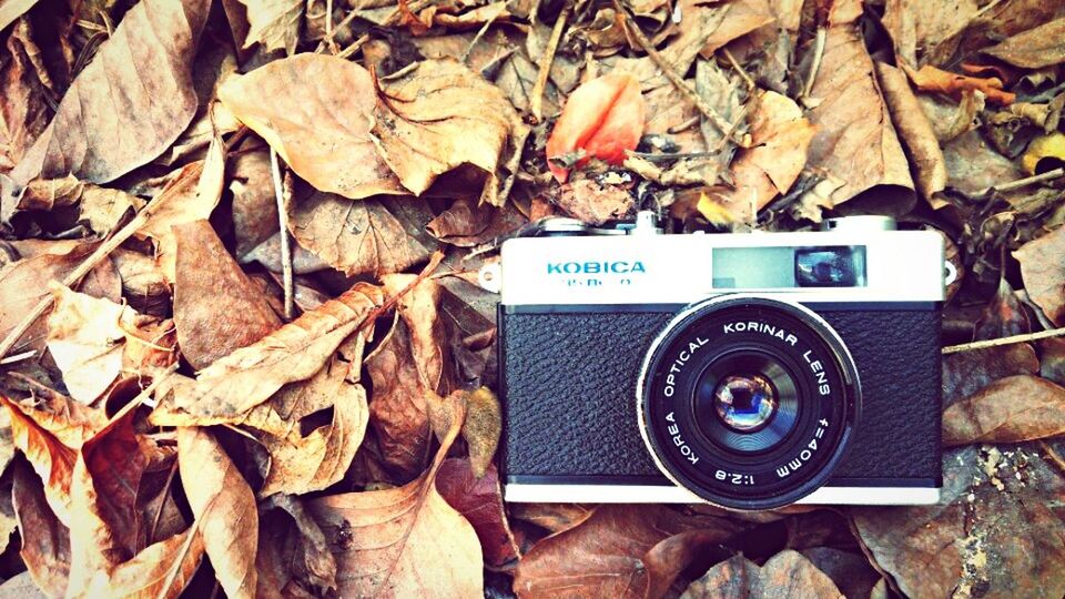 communication, text, high angle view, western script, close-up, number, obsolete, still life, day, no people, abandoned, damaged, technology, old, outdoors, transportation, metal, leaf, broken, sign