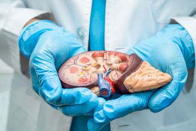 Midsection of woman holding food