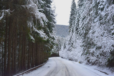 Road amidst snow covered trees during winter