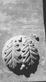 Close-up of food on table