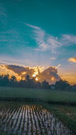 Scenic view of field against sky during sunset