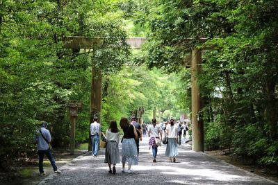 Rear view of people walking on footpath in forest