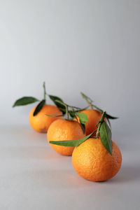 Tangerines with leaves