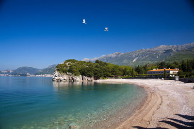 Scenic view of sea against clear blue sky