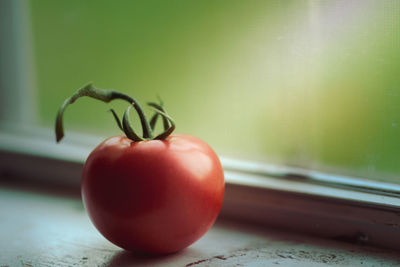 Close-up of tomatoes on table