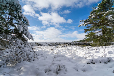 Scenic view of snow covered land against sky