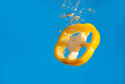 Close-up of orange jellyfish against blue background