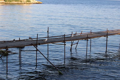 Pier in sea