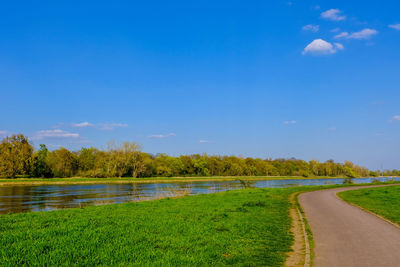 Scenic view of road amidst trees against blue sky