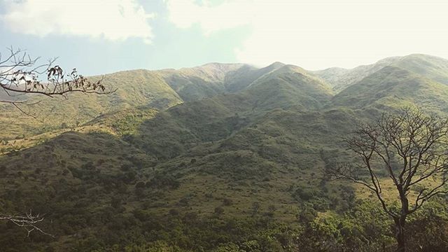 mountain, tranquility, tranquil scene, scenics, tree, mountain range, beauty in nature, sky, landscape, nature, non-urban scene, idyllic, remote, physical geography, geology, day, rocky mountains, outdoors, low angle view, no people