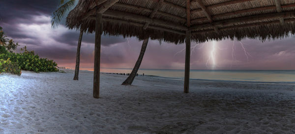 Palm trees on beach against sky