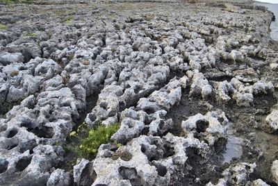 High angle view of rocks on land