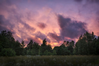 Silhouette trees on field against sky at sunset