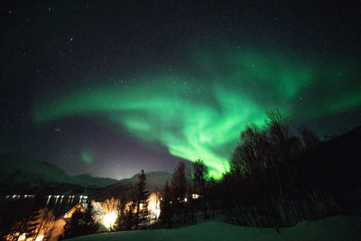 Scenic view of illuminated field against sky at night during winter