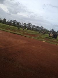 Scenic view of grassy field against cloudy sky