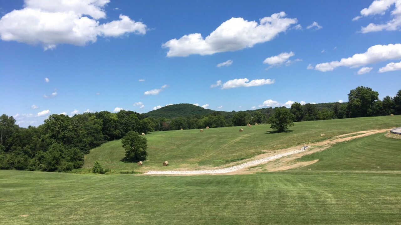 tree, golf, sky, golf course, sand trap, nature, grass, sport, cloud - sky, no people, day, landscape, scenics, green - golf course, outdoors, beauty in nature, blue sky