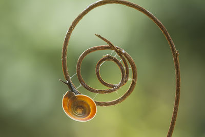 Low angle view of spiral wheel