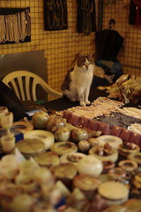 The cat is sitting in a souvenir shop.