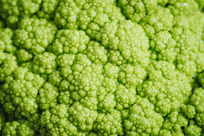 Full frame shot of green beans