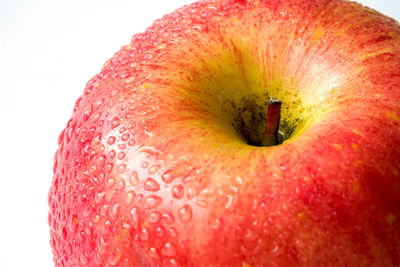 Close-up of apple against white background