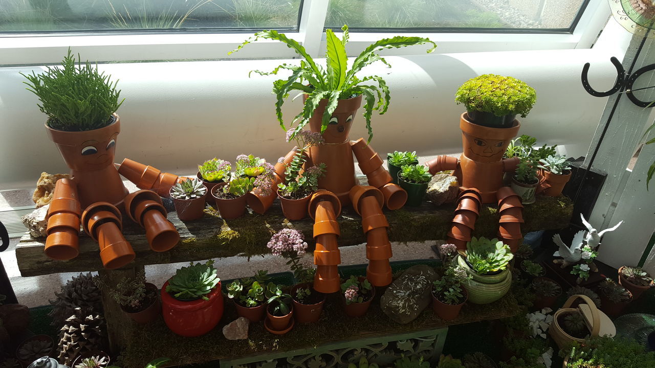 HIGH ANGLE VIEW OF POTTED PLANTS ON WALL