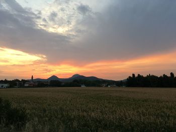 Scenic view of field against sky during sunset