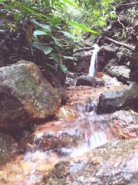 Stream flowing through rocks in forest