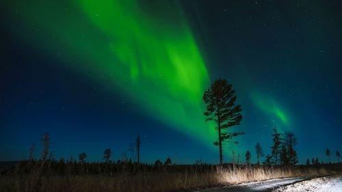 Aurora borealis over landscape at night