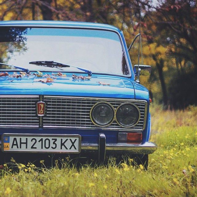 grass, communication, text, focus on foreground, field, western script, green color, close-up, day, number, transportation, mode of transport, no people, blue, land vehicle, outdoors, tree, plant, old-fashioned, car