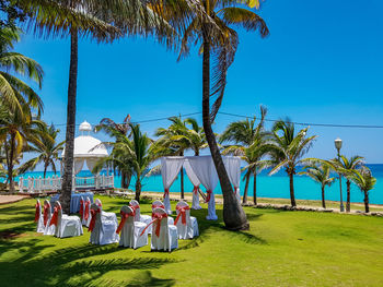 People by palm trees on beach against clear blue sky