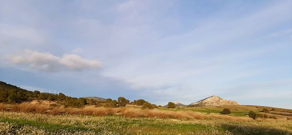 Scenic view of field against sky