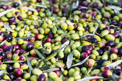 Full frame shot of fruits in market