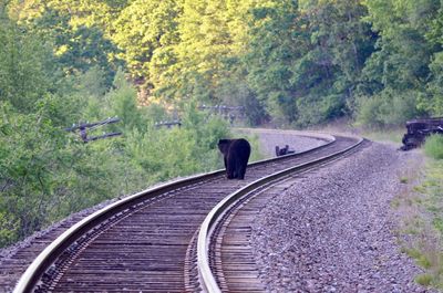 View of a railroad track