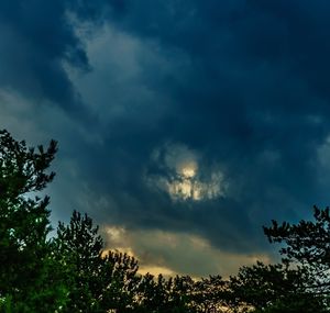 Low angle view of trees against cloudy sky