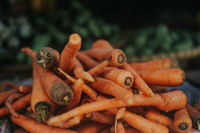 High angle view of carrots