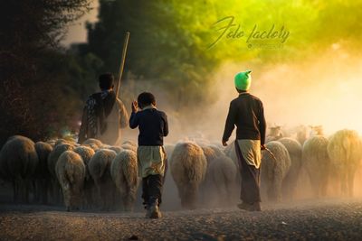 Rear view of people walking on street amidst field