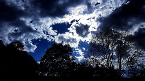 Low angle view of silhouette trees against blue sky