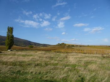 Scenic view of field against sky