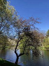 Scenic view of lake against clear sky