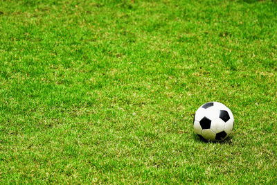 High angle view of soccer ball on grassy field