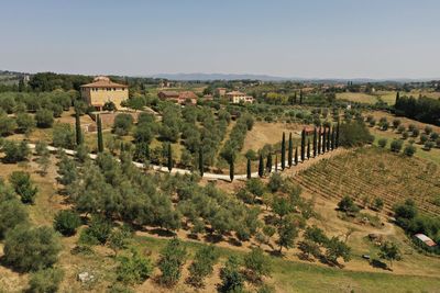 Panoramic shot of trees on landscape against clear sky