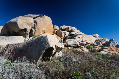 View of animal on rock against clear blue sky