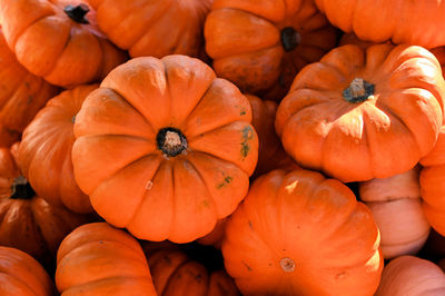 Full frame shot of pumpkins at market