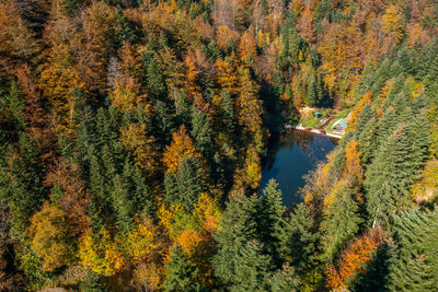 Beautiful landscape with lake and picnic pavilion next to it surrounded by colorful trees in autumn