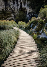 Boardwalk amidst trees