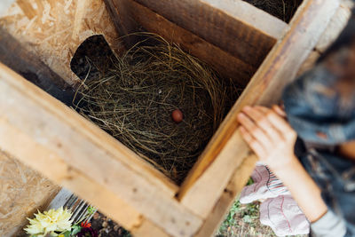 Fresh egg in a straw nest in a small wooden chicken coop, private farm