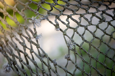Clos-up of hole in fishing net